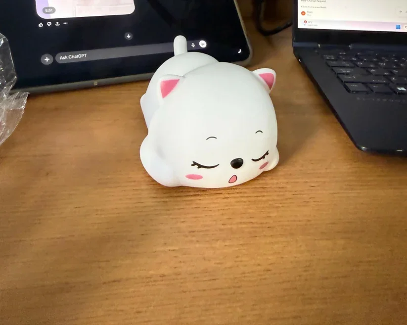 Sleeping Cat Night Lamp
