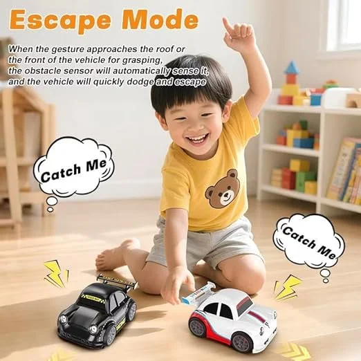 Drifting RC Car with Remote Control